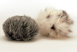 3552375568_ee51929487_o